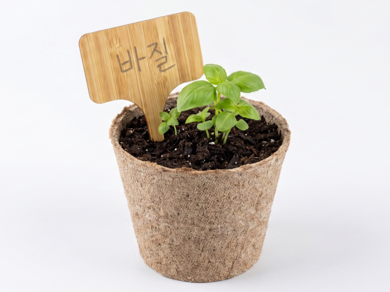 화분픽_3
